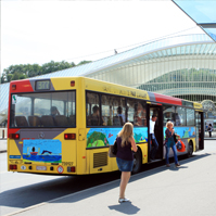 Transport public (bus et tram)