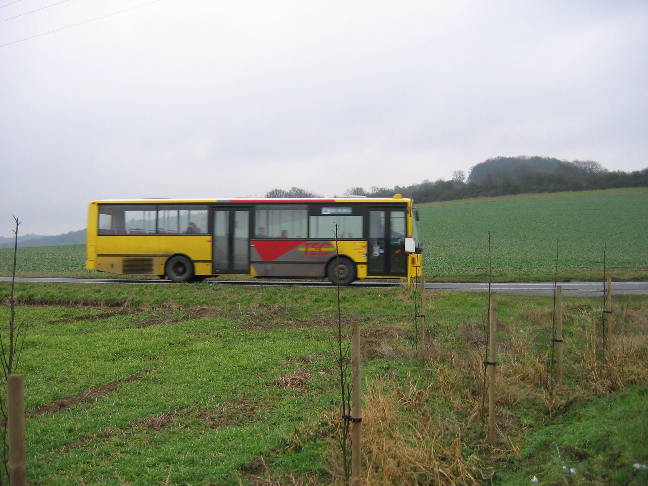 bus rural.jpg