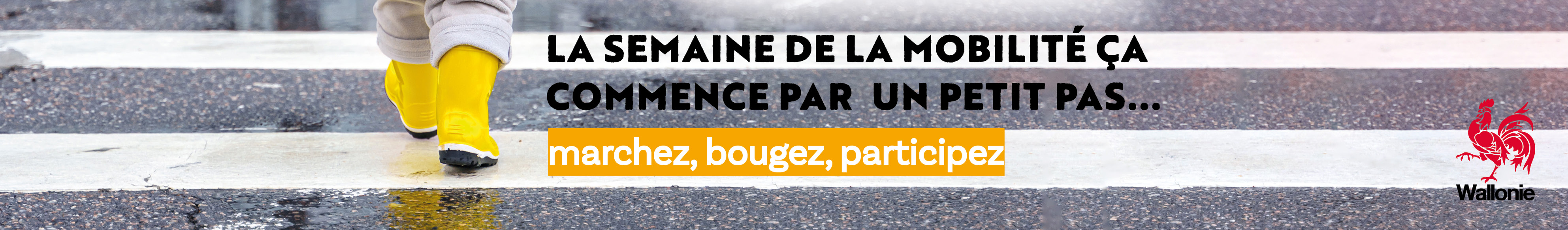 Banner horizontal_2026_FR coq.jpg